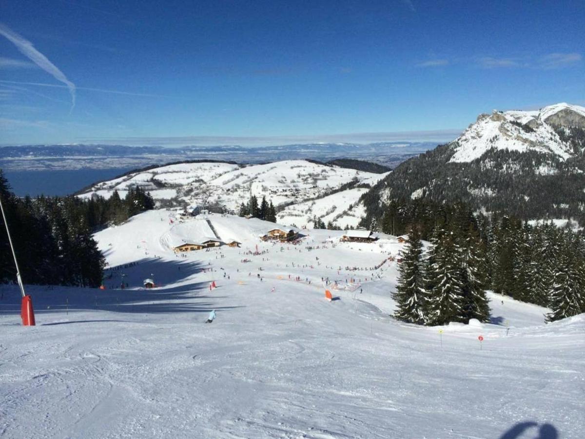 Le 211,Ski Et Randonnee, Lave Linge ,Parking Bernex Dış mekan fotoğraf